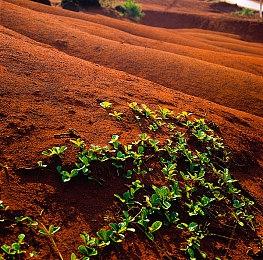《索尼克：超级巨星》新闻订阅玩家可免费获赠服装DLC